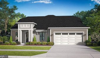 TBB HORNBEAM Drive unit St. Kitts St. Kitts, Frankford, DE 19945