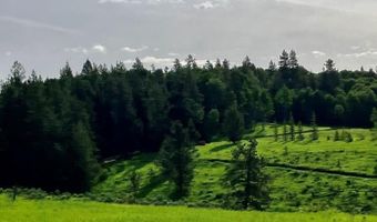1656 Shadow Loop S, Ashton, ID 83420