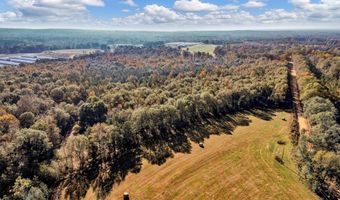 0 County Road 127, Banks, AL 36005
