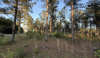 506 Nature Trl, Blackville, SC 29817