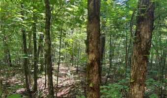Fortner Road, Ball Ground, GA 30107
