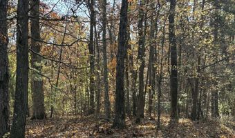 33 Eagle Rdg, Ball Ground, GA 30107