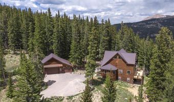 62 Lazy Rex Rd, Alma, CO 80440
