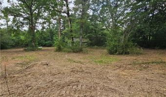 Lot B - Vining Road, Amite, LA 70422