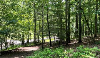 21 Collett Woods Trl Lot #21, Andrews, NC 28901