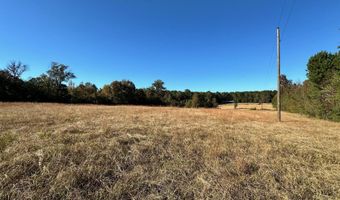 Clara Foote Road, Braxton, MS 39044