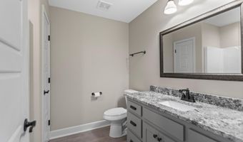 1703 VINE MAPLE, Benton, AR 72019