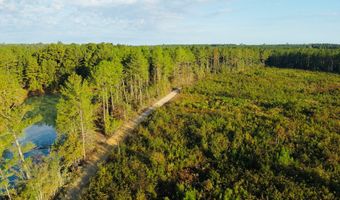 644 Ash-Harrel Loop, Abbeville, GA 31001