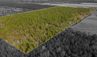 N Bob Brooks Road, Baker, FL 32531