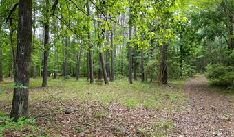 115 Smith Island Trl B, Bonneau, SC 29431