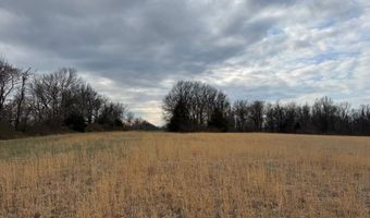 County Road 270, Asbury, MO 64832