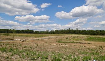 Diana Mill Road, Arvonia, VA 23004