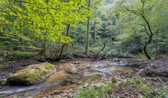 23 59 Ac Chestnut Flats Rd, Andrews, NC 28901