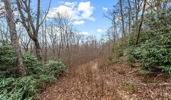 W Pheasant Chase lot 23, Ararat, VA 24053
