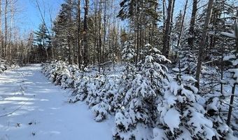 US-1 lot 10, Baring Plt, ME 04694