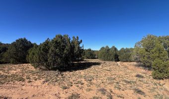 96 CR3041, Concho, AZ 85924