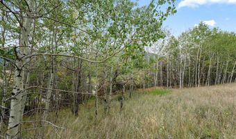 N Cable Road, Anaconda, MT 59711