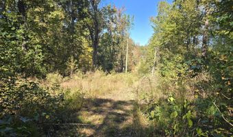 7501 Rainey Morris Rd, Appling, GA 30802
