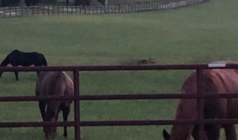 375 Middle Creek Rd, Afton, TN 37616