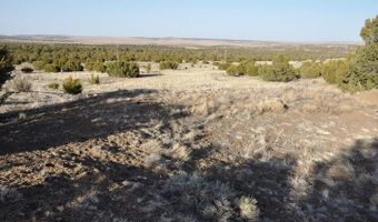 20 County Road 3044, Concho, AZ 85924