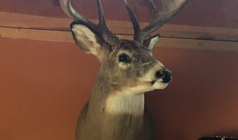 28146 382nd Ave, Armour, SD 57313
