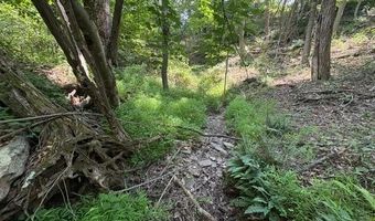 FOX RUN lot 24A 3.22 Ac, Baker, WV 26801