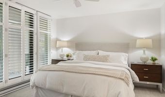 800 E Hopkins Ave A-3, Aspen, CO 81611