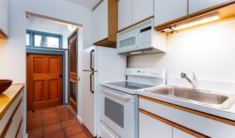 925 W North St, Aspen, CO 81611