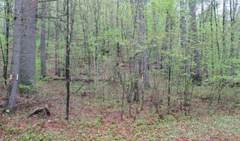 72 Brewster Rd, Barrington, NH 03825