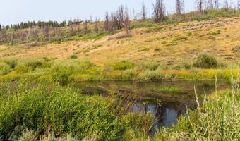 TRACT 17 FISHERMAN CREEK Road, Bondurant, WY 82922