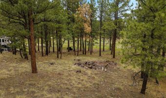 County Rd 2121, Alpine, AZ 85920