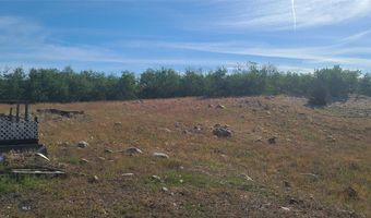 309 Bear Paw Trl, Anaconda, MT 59711