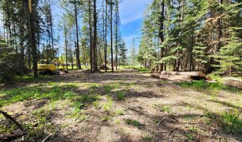 1365 MT Highway 209, Bigfork, MT 59911