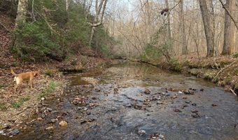 PAYNES POND RD, Arvonia, VA 23004