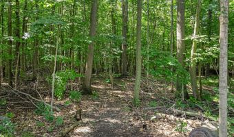6217 S Trailwoods Dr, Ann Arbor, MI 48103