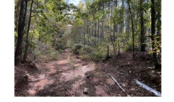 Jim Allred Road, Bankston, AL 35542