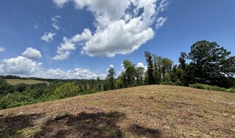626 Sportsman Ln, Andersonville, TN 37705