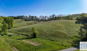 1619 Squirrel Creek Rd, Ararat, VA 24053