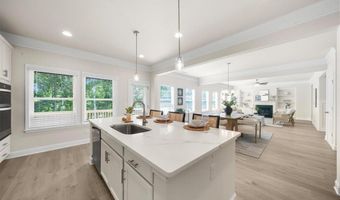 8620 Standing Stone, Ball Ground, GA 30107