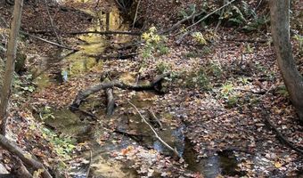 42 Nd St Rear Land, Allegan, MI 49010