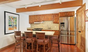 630 E Cooper Ave 1, Aspen, CO 81611