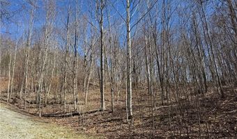 Lot # 70 Tall Tree Lane, Banner Elk, NC 28604