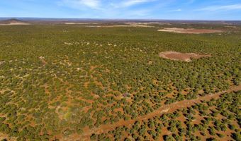 20 CR N8623, Concho, AZ 85924