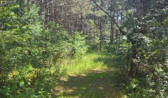 Lot 114 County Road Z, Arkdale, WI 54613