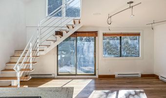915 E HOPKINS Ave 4, Aspen, CO 81611