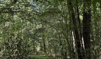 county road 222, Abbeville, AL 36310
