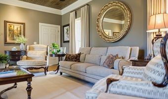 530 MS-15, Blue Mountain, MS 38610