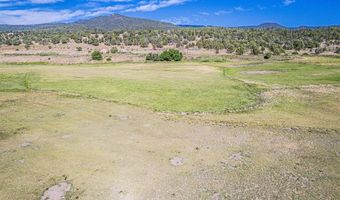 USFS RD 613, Arboles, CO 81147