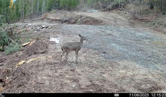 NKA Birdpoint Rd, Bonners Ferry, ID 83805