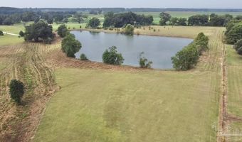 200 Block Howard Page Ln, Atmore, AL 36502
